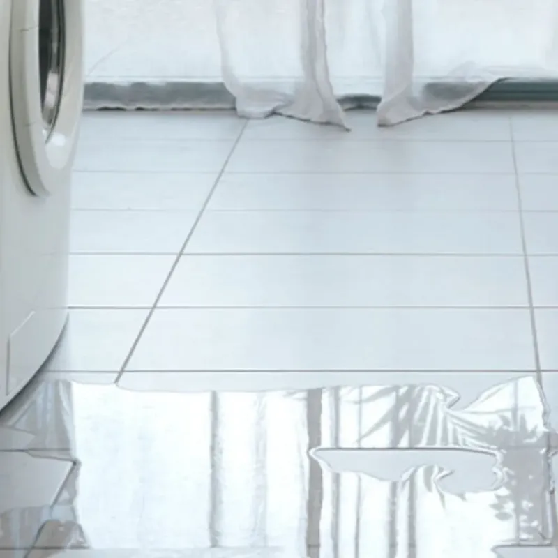 Appliance Leak Cleanup in Woodstock, IL