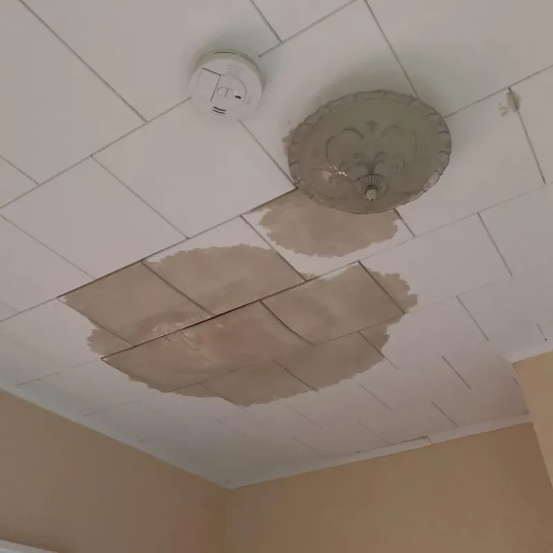 Ceiling Water Damage Repair in Woodstock, IL