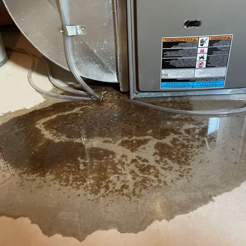Pipe Burst and Leak Restoration in Woodstock, IL