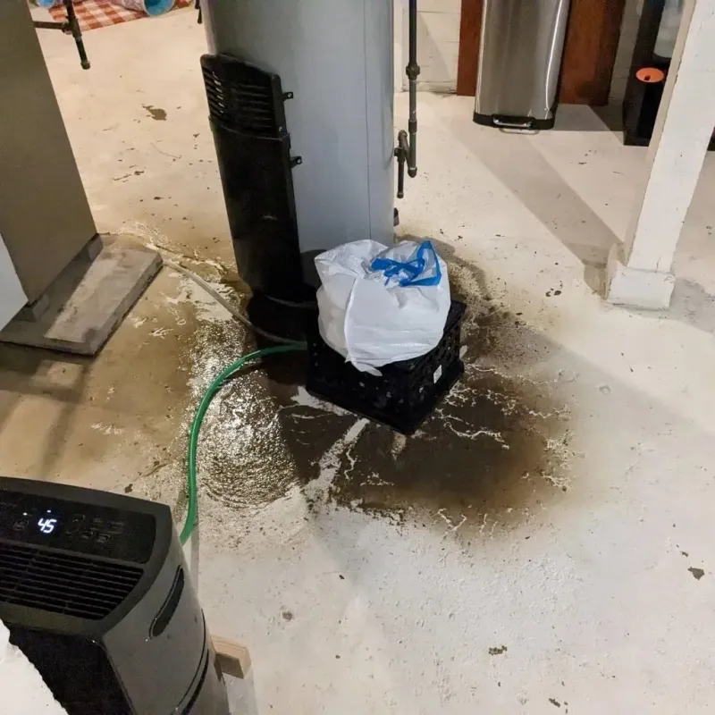 Sewage Backup Cleanup Service in Woodstock, IL